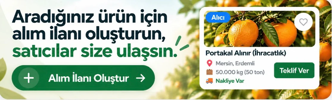 Aradığınız ürün için alım ilanı oluşturun, satıcılar size ulaşsın.